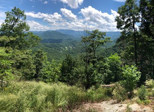 Bartram Trail Hike - Wayah Bald to Wallace Branch Trailhead