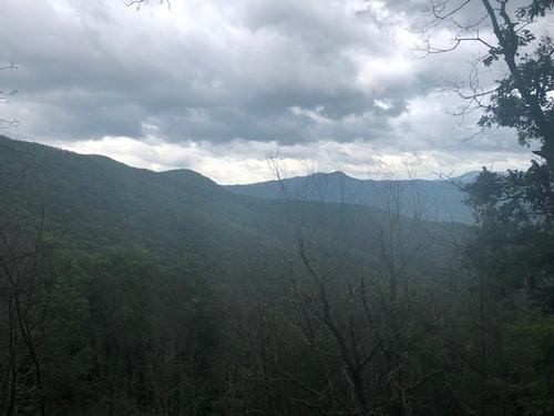 Bartram Trail Hike