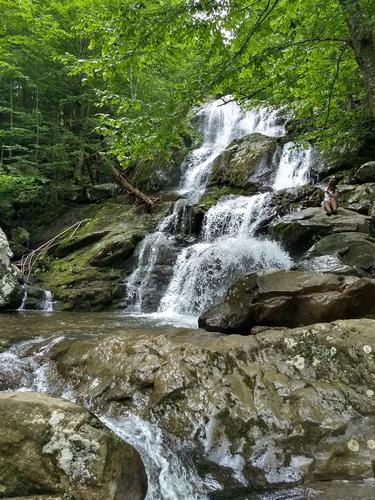 Dark Hollow Falls