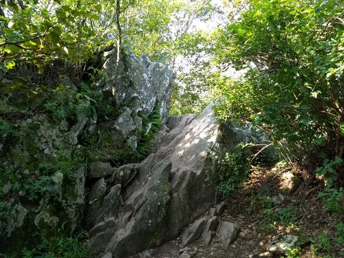 Bearfence Mountain Trail, Shenandoah NP