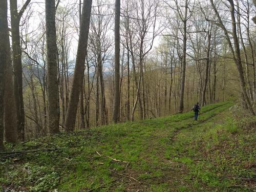 Conway River Fire Road