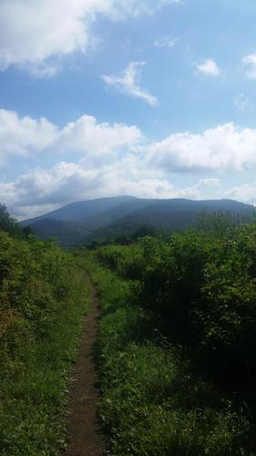AT Hike - 13.6 miles - Sams Gap to Spivey Gap