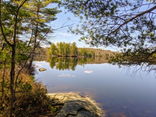 Get Fit #1: Tower Hill Pond Loop Hike