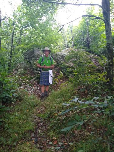 8.9 Mile AT hike in the Garden Mountain Wilderness