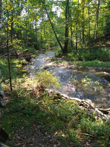 AT Hike - Chestnut Ridge TH to VA 610