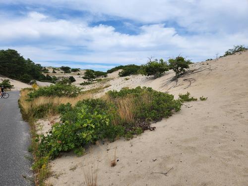 Provincetown Adventure