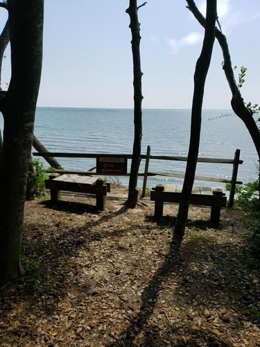 Hike Kiptopeke State Park