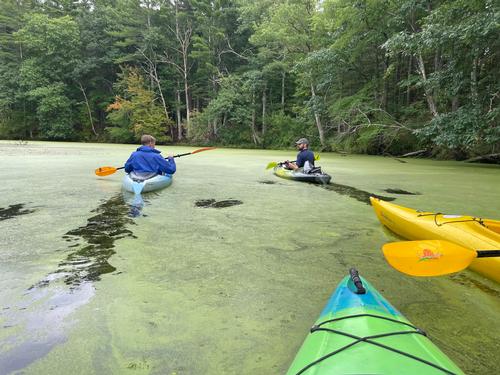 Kayaking easy calm river/swamp