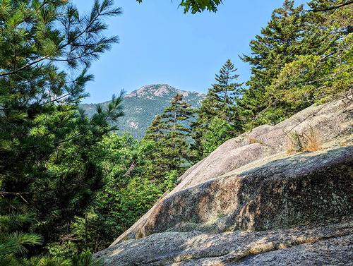 Mt. Chocorua Loop Hike