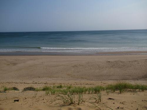 IT'S SUMMER - LETS GO BEACHCOMING!