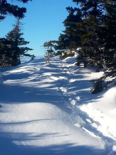 Pleasant Pond Mt Pre-winter Hike
