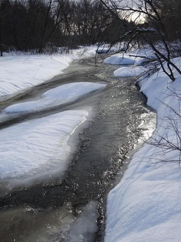 Breaking out my snowshoe trail