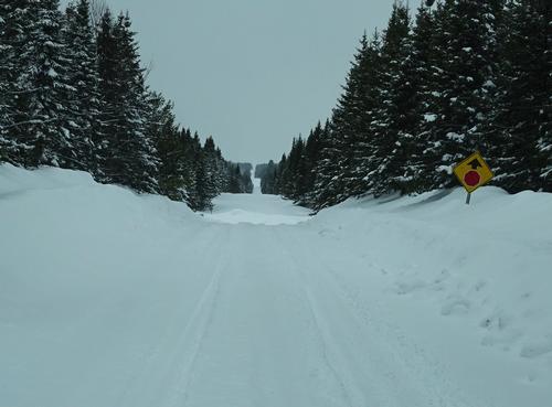 Afternoon drive in Aroostook County