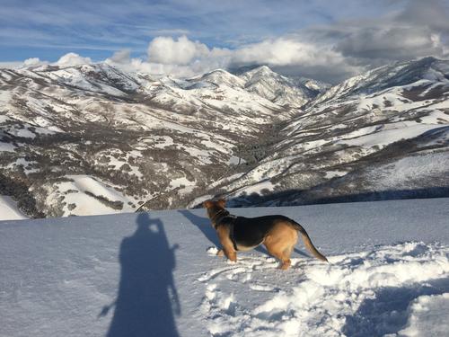 Bonneville Shoreline Trail