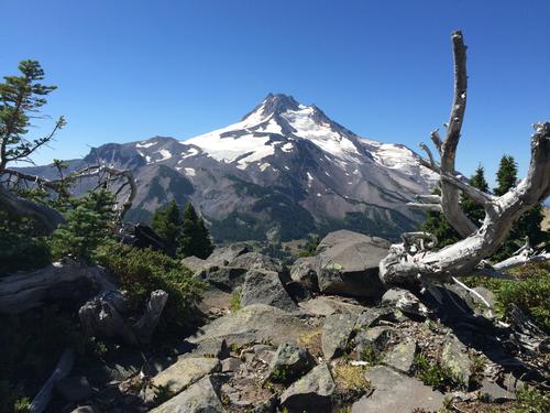 PCT AT JEFFERSON PARK