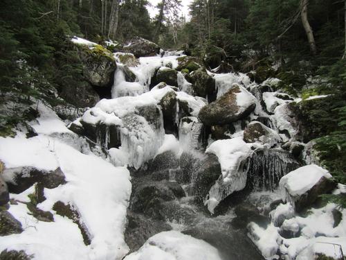 Chandler Brook Trail