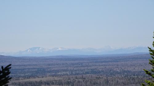 Quaggy Jo Mtn in Aroostook State Park